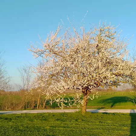 Bauernhof Natura Salute San Biagio di Callalta
